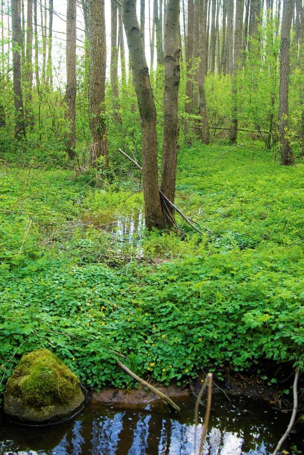 Łosiowate Gospodarstwo Agroturystyczne Rybaki  Zewnętrze zdjęcie