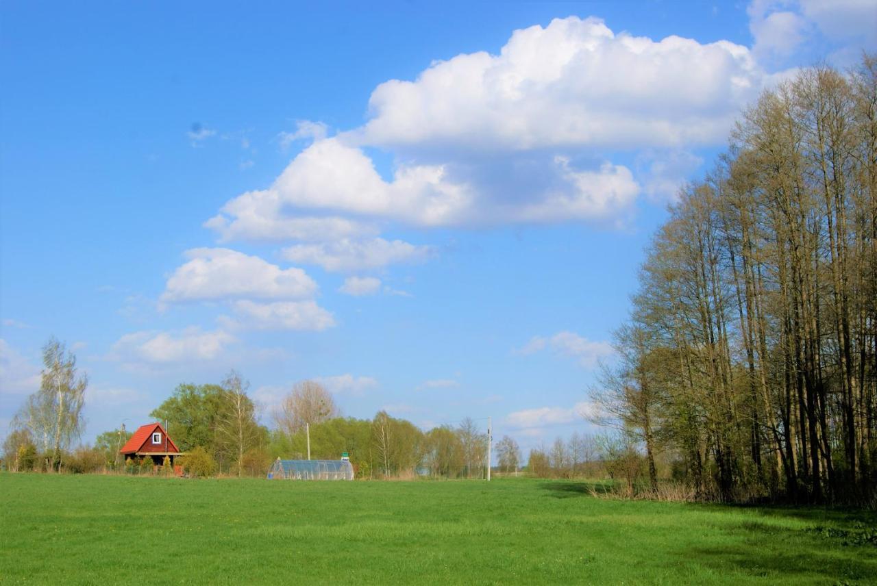 Łosiowate Gospodarstwo Agroturystyczne Rybaki  Zewnętrze zdjęcie