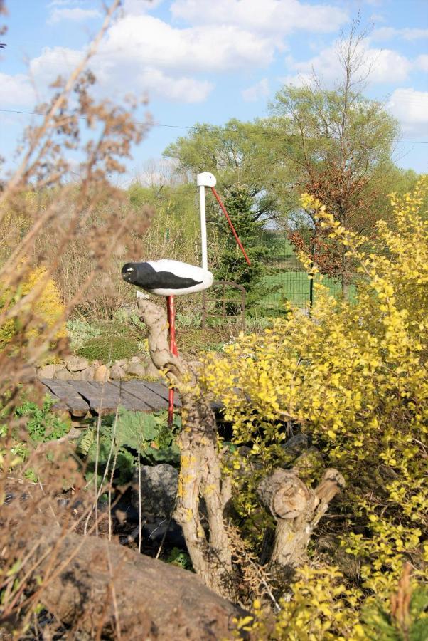 Łosiowate Gospodarstwo Agroturystyczne Rybaki  Zewnętrze zdjęcie