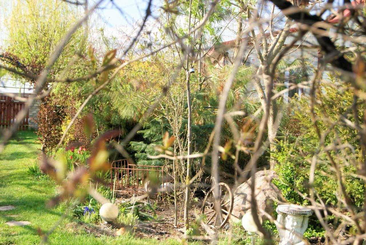 Łosiowate Gospodarstwo Agroturystyczne Rybaki  Zewnętrze zdjęcie